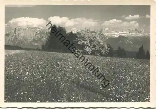 Motivo sul Renon verso le Dolomiti - Motiv am Ritten gegen die Dolomiten - Foto-AK Grossformat - Verlag J. F. Amonn Bolz