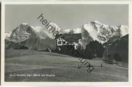 Hotel Amisbühl - Eiger Mönch und Jungfrau - Foto-Ansichtskarte - Edition Phot. Gabler Interlaken
