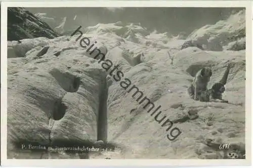 Piz Bernina mit Morteratschgletscher - Bernhardiner - Foto-Ansichtskarte - Verlag Andr. Hane Rorschach 30er Jahre