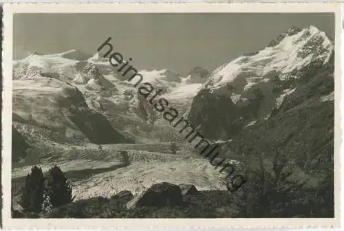 Bernina-Massiv - Foto-Ansichtskarte - Edizione Alfredo Finzi Lugano
