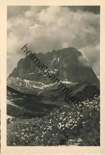 Il Sassolungo Gardena - Der Langkofel Gröden - Foto-AK Grossformat 40er Jahre - Photo Wolfram Knoll - Verlag J. F. Amonn