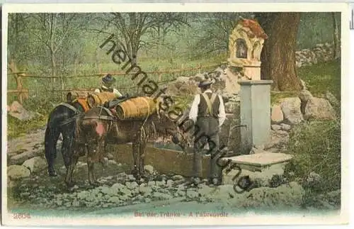 Bei der Tränke - A l'abreuvoir ca. 1900