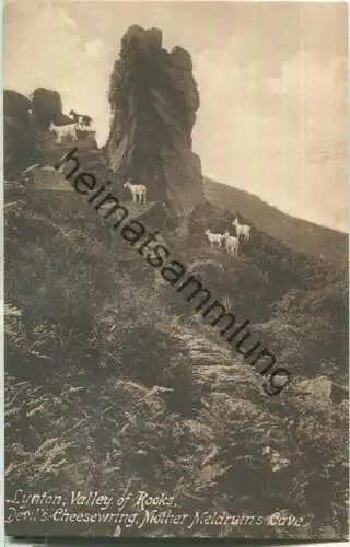 Ziegen - Lynton - Valley of Rocks