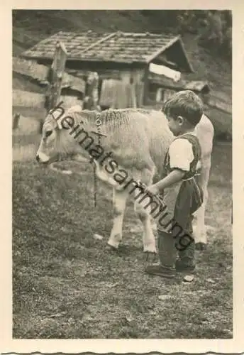 Dalla Valle di Sarentino - Sarntal - kleiner Junge mit Kälbchen - Foto-AK Grossformat 40er Jahre - Photograph Wolfram Kn