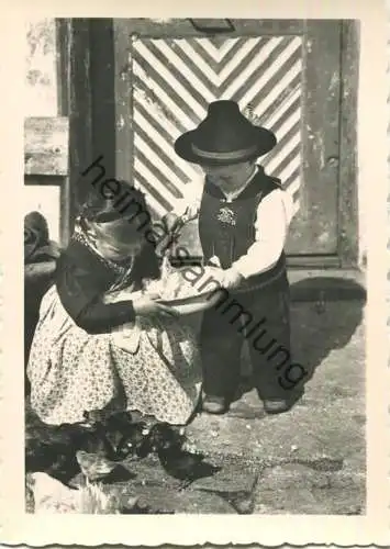 Dalla Valle di Sarentino - Sarntal - Küken Fütterung - Foto-AK Grossformat 40er Jahre - Photograph Karl Felderer - Verla