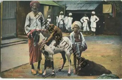 Bandar Wallah - Indian Showman - Verlag F. Hartmann London