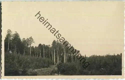 Langenbrand - Foto-Ansichtskarte - Photographie Ludwig Stauch Langenbrand