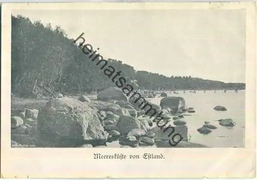 Meeresküste von Estland
