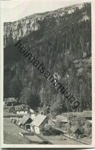 Krampen an der Mürz - Eingang ins Tirol - Foto-Ansichtskarte - Verlag K. Glantschnigg Graz 1930