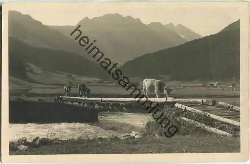 Hochtal Gerlos - Aus dem Schönachtal - Foto-Ansichtskarte  - Verlag K. Dornach Innsbruck