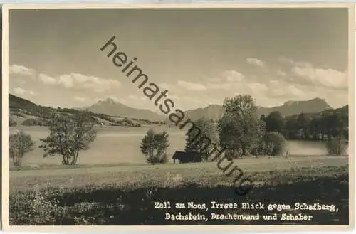 Zell am Moos - Irrsee - Blick gegen Schafberg Dachstein Drachenwand und Schober - Foto-Ansichtskarte