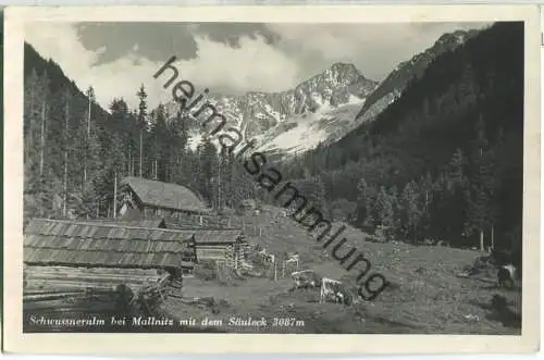 Schwussneralm bei Mallnitz mit dem Säuleck - Foto-Ansichtskarte
