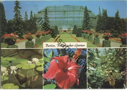 Botanischer Garten Berlin - Verlag Kunst und Bild Berlin