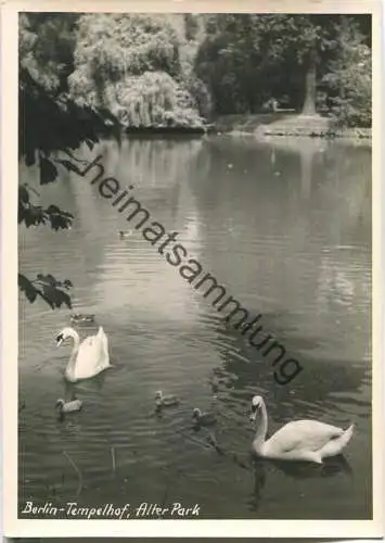 Berlin-Tempelhof - Alter Park - Foto-Ansichtskarte - Verlag Bruno Schroeter Berlin - Handabzug