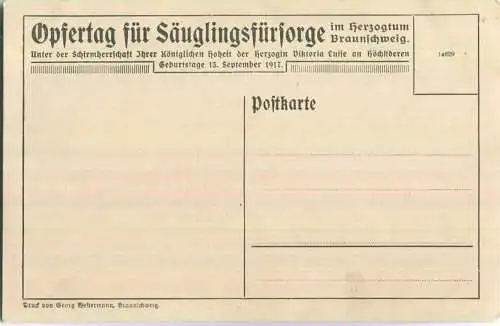 Opfertag für Säuglingsfürsorge im Herzogtum Braunschweig 1917