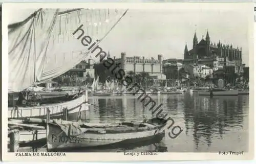 Palma de Mallorca - Lonja y Catedral - Foto-Ansichtskarte - Ediciones Truyol