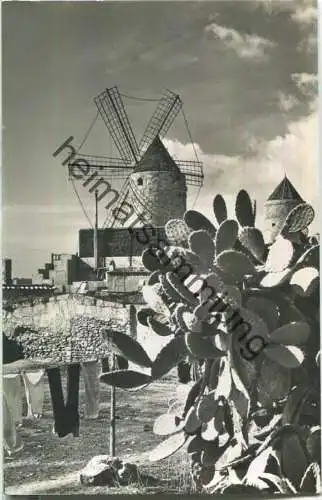 Palma - Molinos de Es Jonquet - Foto-Ansichtskarte - Foto Casa Planas