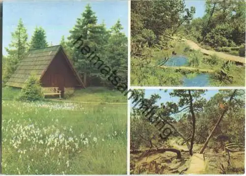 Naturschutzgebiet Georgenfelder Hochmoor - Verlag A. P. Walther Radebeul