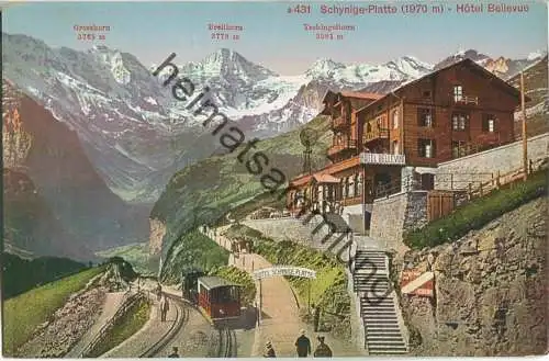 Schynige-Platte - Hotel Bellevue - Edition Photoglob Zürich 20er Jahre