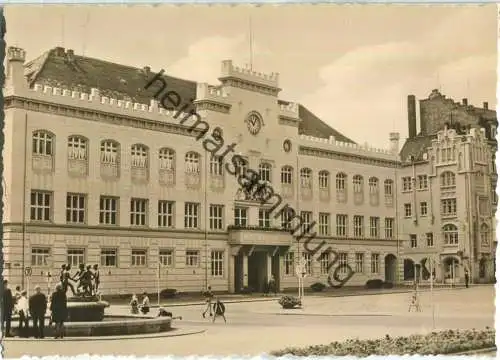 Zwickau - Rathaus - Verlag W. Oelschlägel Zwickau