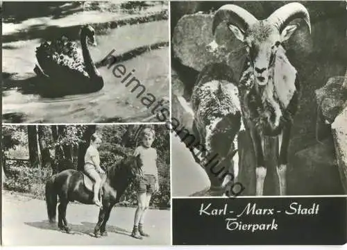 Karl-Marx-Stadt - Tierpark - Verlag Köhler & Büsser Karl-Marx-Stadt