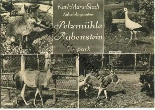 Karl-Marx-Stadt - Naherholungsgebiet Pelzmühle Rabenstein Tierpark - Verlag Erhard Neubert KG Karl-Marx-Stadt