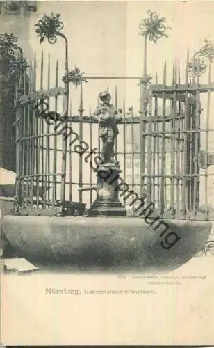 Nürnberg - Gänsemännchenbrunnen - Verlag Hermann Martin Nürnberg 1902