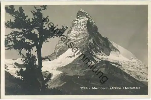 Mont Cervin - Matterhorn - Foto-Ansichtskarte - Edition Societe Graphique Neuchatel