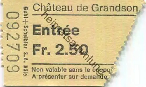 Schweiz - Chateau de Grandson - Eintrittskarte