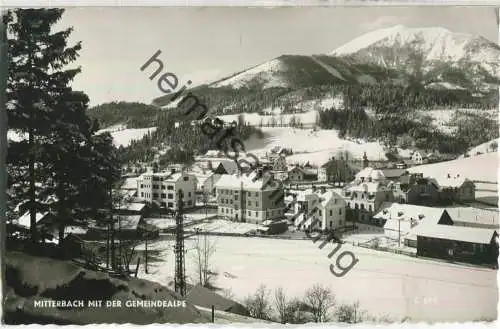 Mitterbach - Gemeindealpe - Foto-Ansichtskarte - Verlag Foto-Anstalt J. Kuss Mariazell