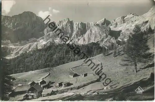 Neustattalm mit Dachstein - Foto-Ansichtskarte - Verlag BL 3325