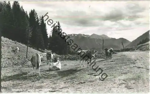 Niederalpl - Hochschwabaussicht - Foto-Ansichtskarte - Verlag Josef Kuss Mariazell