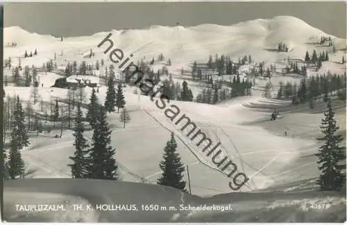 Tauplitzalm Th. K. Hollhaus - Schneiderkogel - Foto-Ansichtskarte - Verlag P. Ledermann Wien