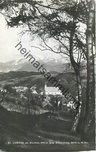 St. Corona am Wechsel - Schneeberg - Foto-Ansichtskarte - Verlag P. Ledermann Wien