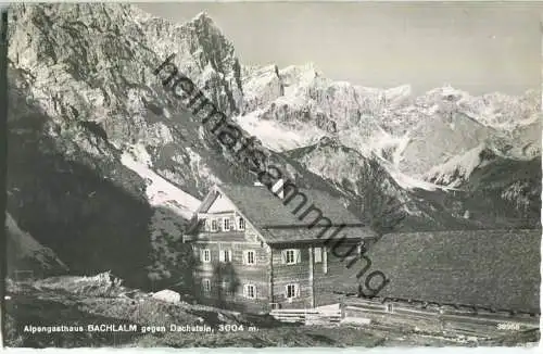 Alpengasthaus Bachlalm - Dachstein - Foto-Ansichtskarte - Verlag P. Ledermann Wien