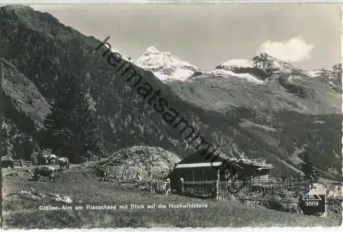 Riesachsee - Gföller-Alm - Hochwildstelle - Foto-Ansichtskarte - Verlag Alfred Gründler Salzburg