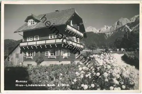 Ramsau am Dachstein - Lindenstein - Foto-AK