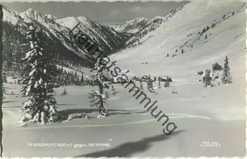 Planneralm - Grimming - Foto-Ansichtskarte - Verlag Walter Kramer Graz