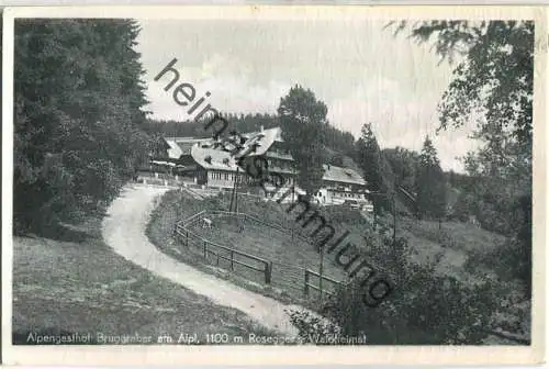 Alpengasthof Burggraber Alpl - Foto-Ansichtskarte - Verlag Alpengasthof