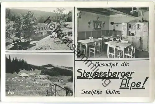 Kirchberg am Wechsel - Steyersberger Alpe - Verlag Photo-List Kirchberg