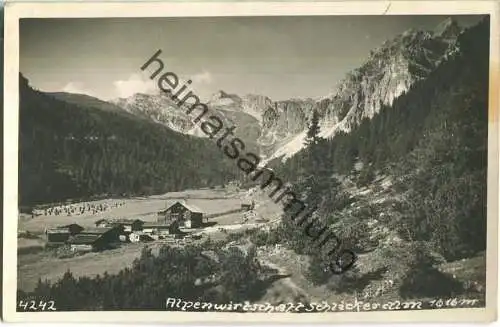 Schlickeralm - Alpenwirtschaft - Foto-Ansichtskarte - Verlag Much Heiss Innsbruck
