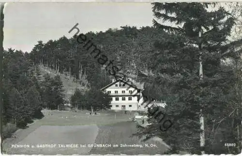 Grünbach am Schneeberg - Pension Talwiese - Foto-Ansichtskarte - Verlag P. Ledermann Wien
