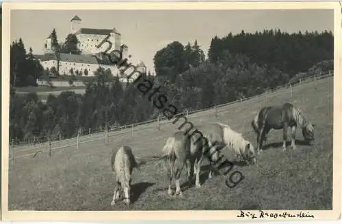 Burg Rappottenstein - Foto-AK ohne Verlagsangabe