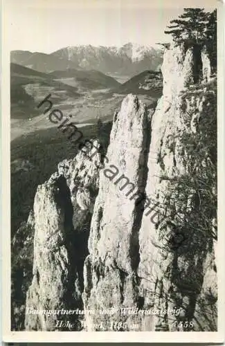 Hohe Wand - Baumgartnerturm - Wildenauersteig - Foto-AK - Verlag Franz Schneidhofer Neunkirchen