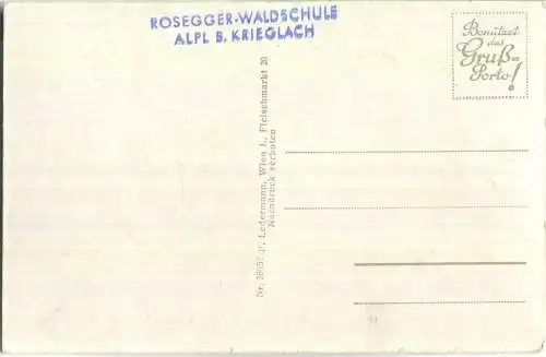 Waldheimat - Alpl - Krieglach - Waldschule - Foto-Ansichtskarte - Verlag P. Ledermann Wien