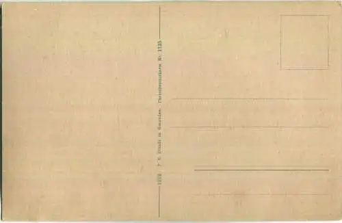 Dachsteingruppe von der Bachler Alm - Verlag F. E. Brandt Gmunden 1912