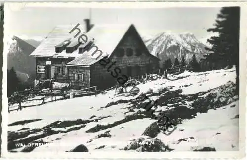 Waldfreunde-Hütte - Obersberg bei Schwarzau im Gebirge - Foto-Ansichtskarte ohne Verlagsangaben