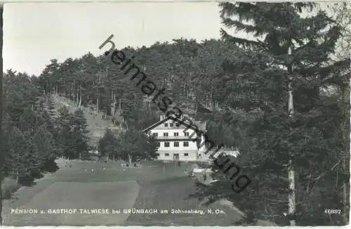 Pension Talwiese - Grünbach am Schneeberg - Foto-Ansichtskarte - Verlag P. Ledermann Wien