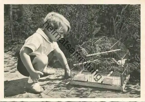 Junge mit Vogel im Käfig - Foto-AK Grossformat - 316 - Verlag EAS E. A. Schwerdtfeger & Co. Berlin