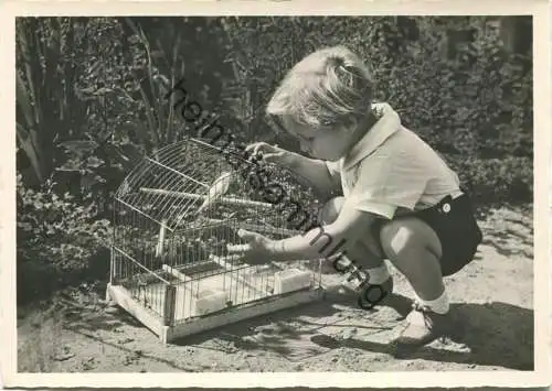 Junge mit Vogel im Käfig - Foto-AK Grossformat - 316 - Verlag EAS E. A. Schwerdtfeger & Co. Berlin